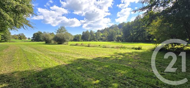 maison à vendre - 12 pièces - 828.0 m2 - LE CREUSOT - 71 - BOURGOGNE - Century 21 Agence De La Verrerie